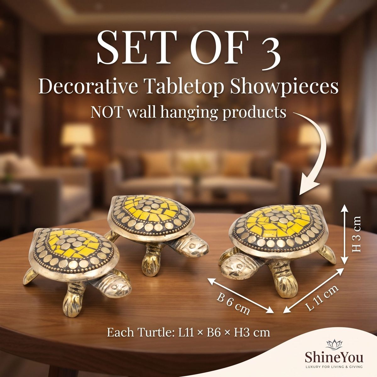 Decorative Tortoises — Set of Three